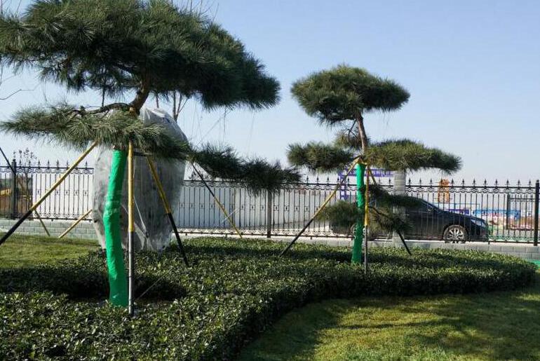 陜西綠宇園林公司內(nèi)外兼修為來年布局