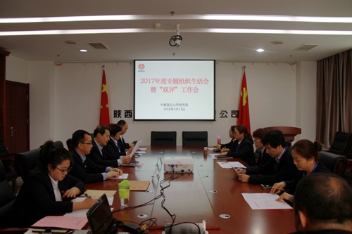 大秦置業(yè)公司:緊嚴(yán)并舉開好黨支部2017年度專題組織生活會暨雙評工作會