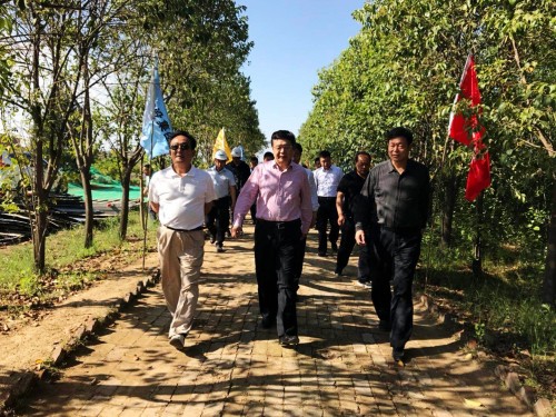 陜西省總工會(huì)黨組書記、主席白阿瑩一行蒞臨鄠邑區(qū)調(diào)研考察草堂寺健康養(yǎng)老示范項(xiàng)目