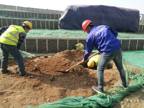 陜煤建設綠宇園林公司:激活“神經末梢”  打響“五小”創新戰