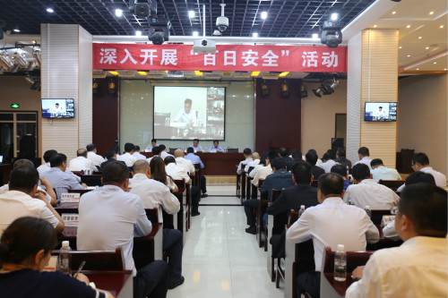 建設(shè)集團(tuán)召開安全環(huán)保視頻會暨2019年“百日安全”活動啟動會