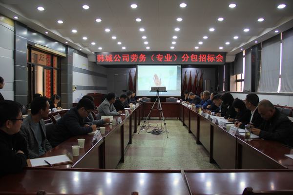 陜煤建設(shè)韓城分公司順利完成龍鋼綜合渣場(chǎng)兩布一膜工程勞務(wù)分包招標(biāo)工作