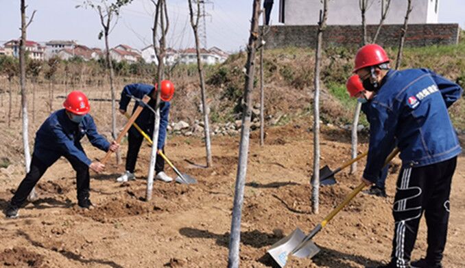 今天你植樹了嗎？