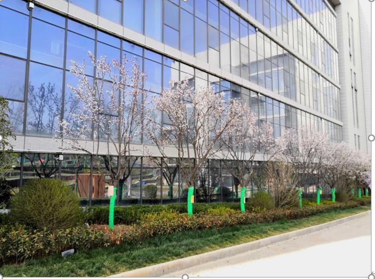 綠宇公司：市場(chǎng)開發(fā)增“高”添“新”