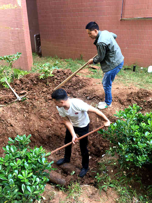 陜煤建設公司：江南世紀城小區為業主創建衛生文明環境