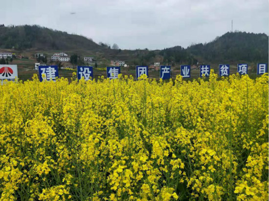 公司領(lǐng)導(dǎo)寧興剛、侯本英到扶貧定點(diǎn)幫扶村看望慰問(wèn)困難群眾