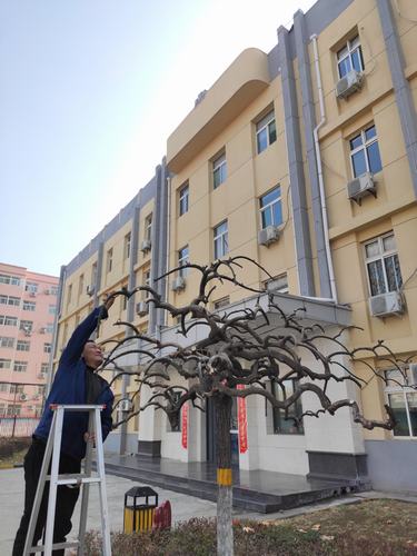 陜煤建設銅煤公司做好辦公區域的綠化創和諧溫馨企業環境