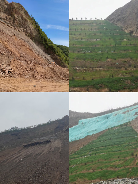 渣山變綠林，碎石堆場批“綠裝”