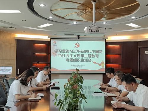 內蒙古分公司組織召開主題教育專題組織生活會