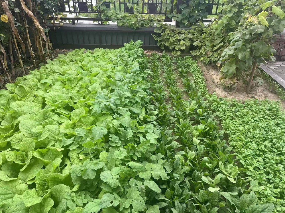 工地之上，家的溫度悄然綻放