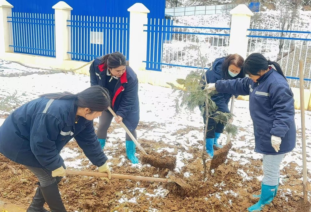 陜煤建設礦建三公司：巾幗添綠綻芳華，共筑生態新環境